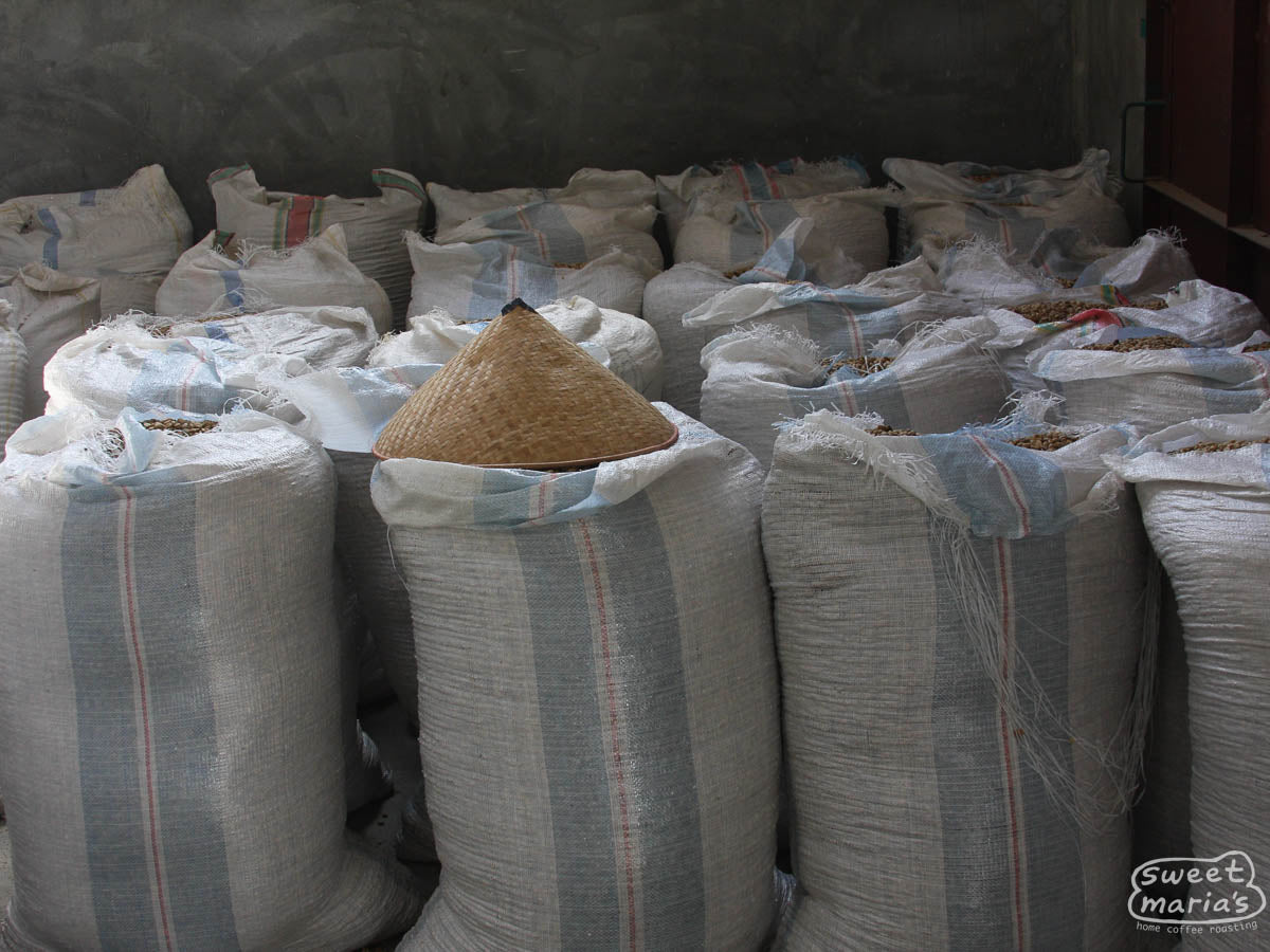 Parchment coffee stored in mylar bags rests in a cool warehouse of a Lintong collector (not James). Lintong Nihuta, Sumatra.