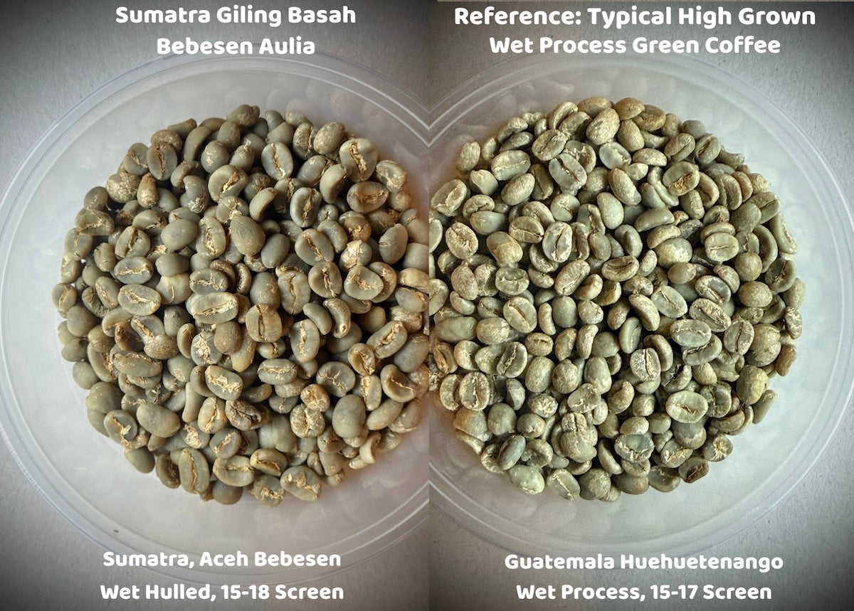 Aulia demonstrates how selective cherry harvesting is implemented. He shows us lower grade coffee cherry in his right hand