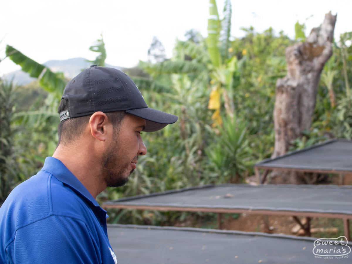 Cesar Esquivel takes us on a tour of his family's micro mill, Cerro La Cruz, in Canet de Tarrazu, Costa Rica.