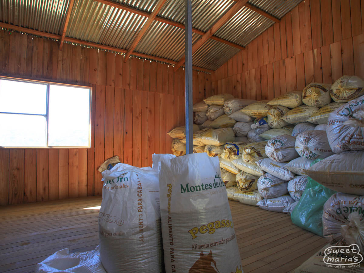 Mylar sacks filled with dried parchment coffee are stacked in a storage room at La Casona.