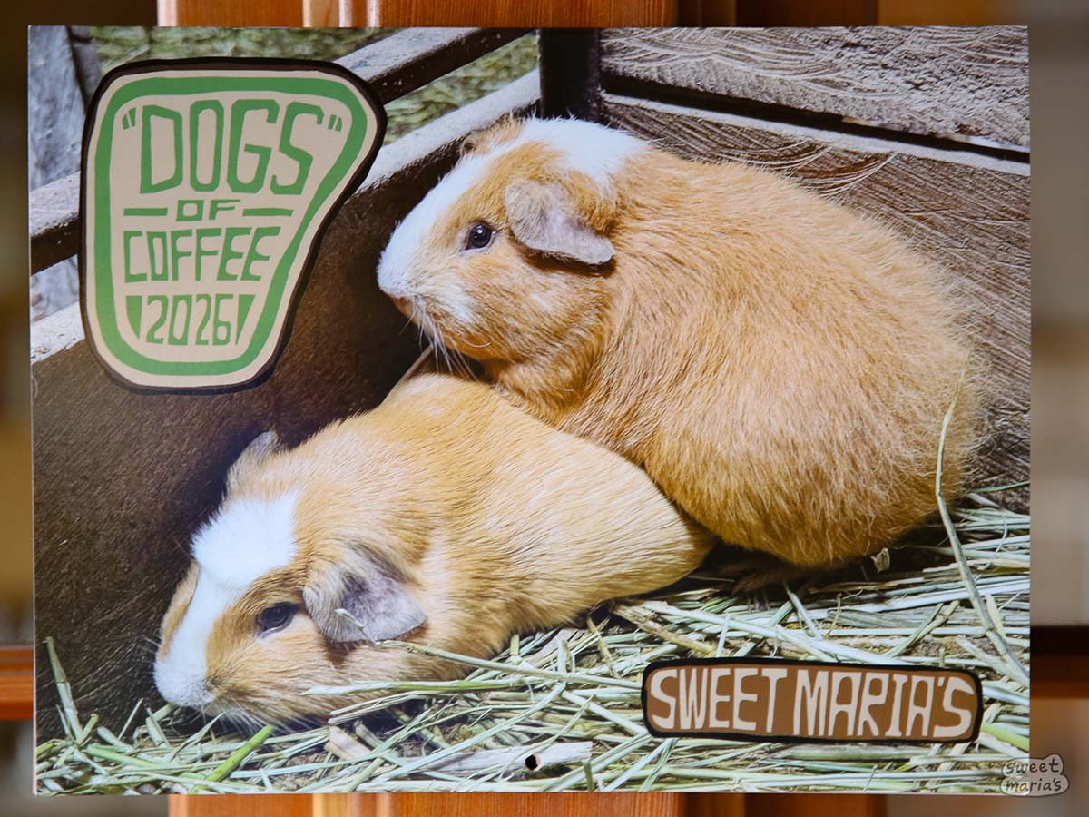 The cover of our 2026 "Dogs" of Coffee Calendar. Two very tiny dogs.