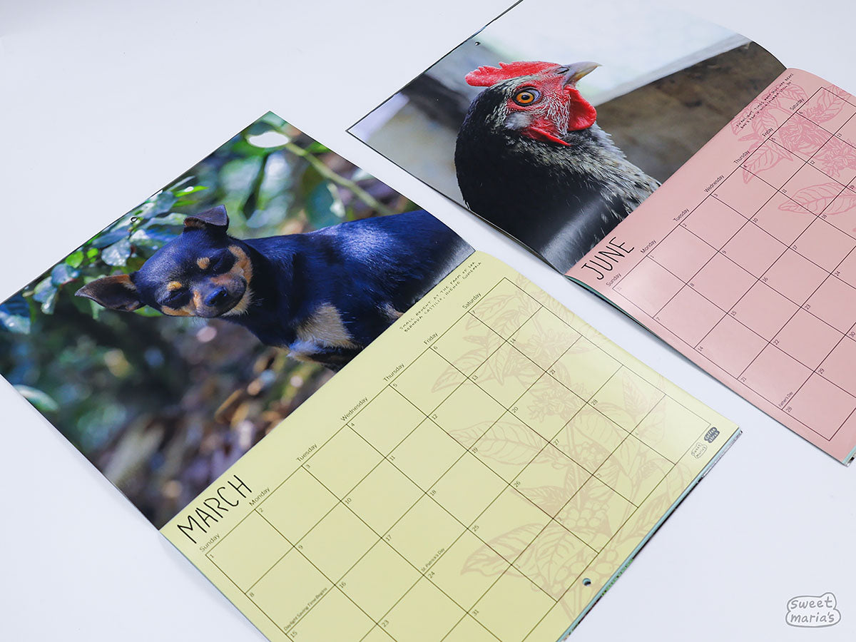 Sample spreads of our 2026 "Dogs" of Coffee Calendar (March and June).