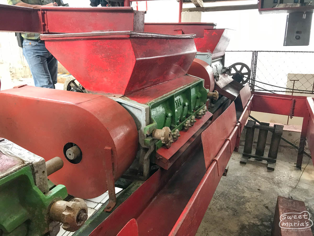A pair of well maintained "vintage" coffee depulpers at the San Diego Buena Vista farm, used to remove the outer fruit from the coffee beans within. 