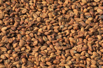  Java Sunda.