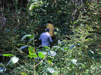 Olman and Pablo lead the way as we walk one of the paths that cuts through the Ojo de Agua farm.