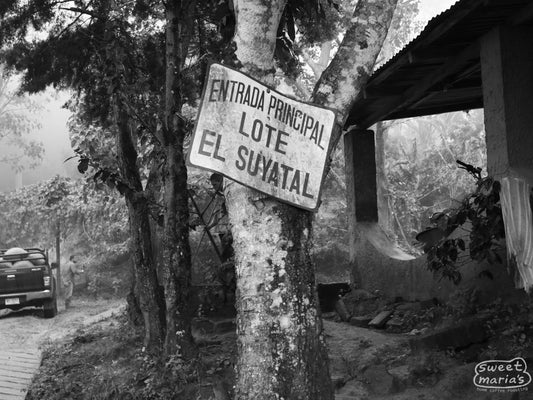 The sign reading 