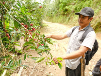 Sulawesi.