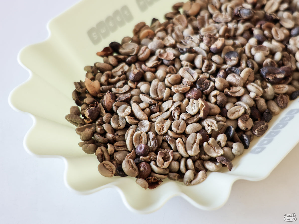 They call this lot "Alpha R-400," which indicates that it comes from washed coffee parchment and has anywhere between 400–450 defects per 300 g sample.