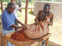  Tanzania (not Mbewe)