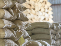 Burlap bags filled with dried coffee inside a cool warehouse at a Tanzanian coffee mill.