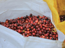  "I love (heart) Timor-Leste". We do too!