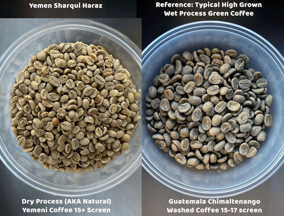 Side-by-side comparison of Yemen Sharqui Haraz and a typical wet process 15 screen Guatemalan coffee.