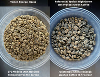Side-by-side comparison of Yemen Sharqui Haraz and a typical wet process 15 screen Guatemalan coffee.