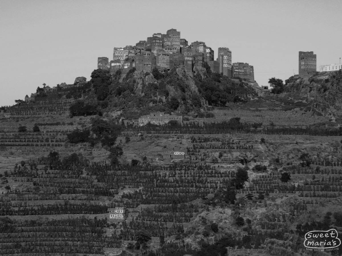  Yemen.