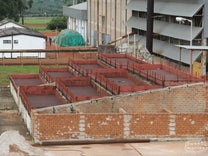 Zambia Anaerobic Natural Misambo